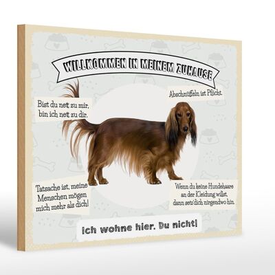 Holzschild Spruch 30x20cm Tiere Hund ich wohne hier du nicht