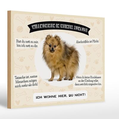 Panneau en bois indiquant 30x20cm Animaux Spitz bienvenus en direct ici