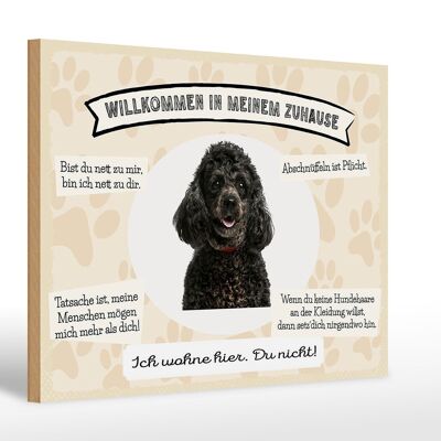 Holzschild Spruch 30x20cm Tiere Pudel willkommen Zuhause