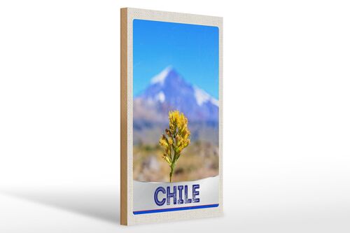 Holzschild Reise 20x30cm Chile Blume Gebirge Urlaub