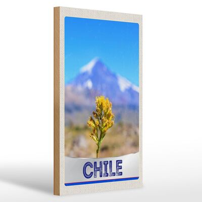 Cartel de madera viaje 20x30cm Chile flor montañas vacaciones