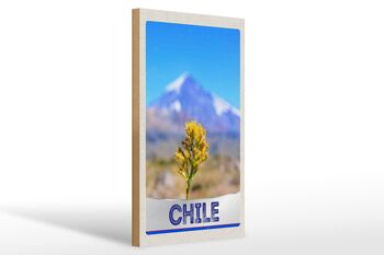 Panneau en bois voyage 20x30cm Chili fleurs montagnes vacances 1