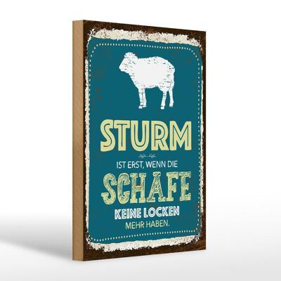 Holzschild Spruch Sturm wenn Schafe keine Locken 20x30cm