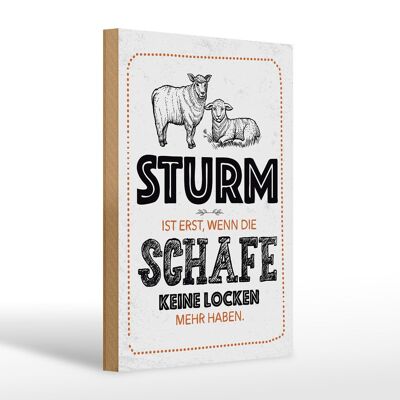 Holzschild Spruch lustig Sturm wenn Schafe Locken 20x30cm