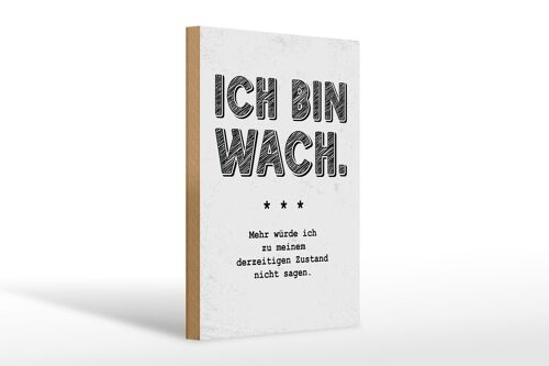 Holzschild Spruch lustig Zustand Ich bin wach 20x30cm