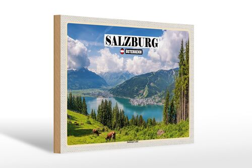 Holzschild Reise Österreich Salzburger Land Natur 30x20cm