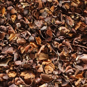 Infusion parfumée au gingembre, à la cannelle et cosse de cacao Bio 100g 7
