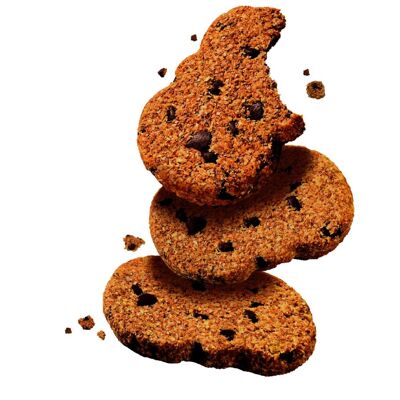 ORGANIC chocolate breakfast biscuit in BULK 3kg