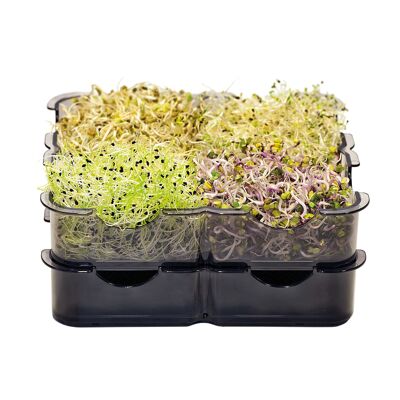 KIT DE INICIO germinador GermoglioSì