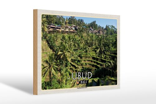 Holzschild Reise 30x20cm Ubud Bali Tegalalang Reisterrassen