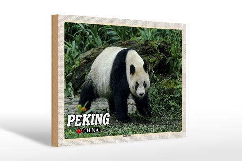 Holzschild Reise 30x20cm Peking China Panda Haus Geschenk