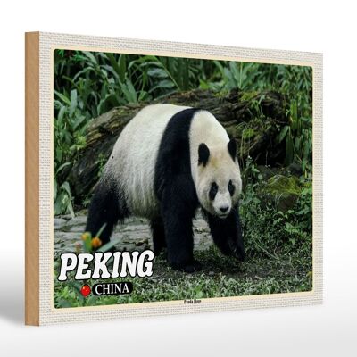 Holzschild Reise 30x20cm Peking China Panda Haus Geschenk