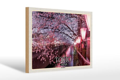 Holzschild Reise 30x20cm Tokio Japan Kirschblüten Bäume Fluss Deko