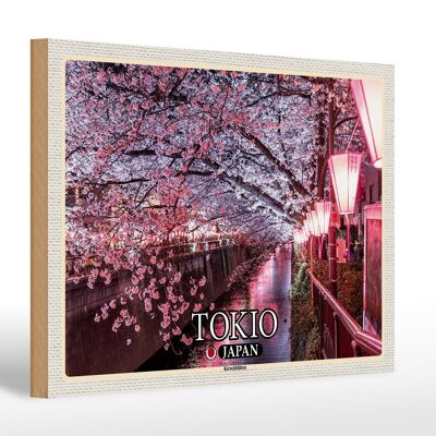 Wooden sign travel 30x20cm Tokyo Japan cherry blossoms trees river decoration