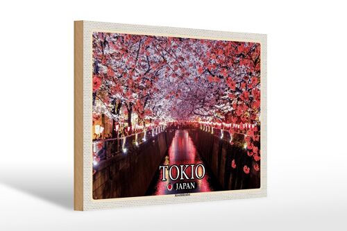 Holzschild Reise 30x20cm Tokio Japan Kirschblütenfest Bäume Fluss