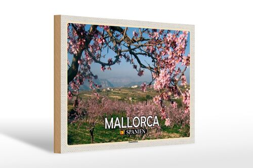 Holzschild Reise 30x20cm Mallorca Spanien Mandelblüten