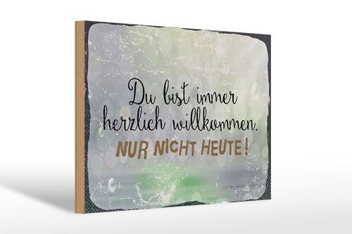 Holzschild Spruch 30x20cm du bist immer willkommen. Nur nicht heute