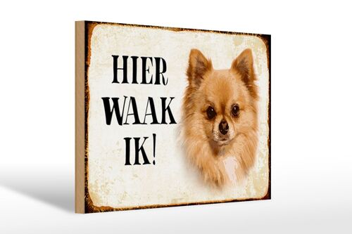 Holzschild Spruch 30x20cm holländisch Hier Waak ik Chihuahua