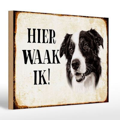 Holzschild Spruch 30x20cm holländisch Hier Waak ik Border Collie