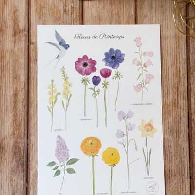 Watercolor poster Spring flowers