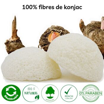 Eponge Konjac 100% Naturelle Visage - En Boite | Plusieurs Modèles au Choix 4