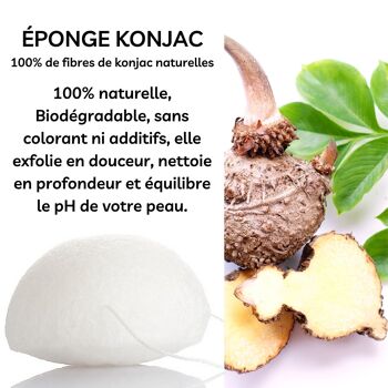 Eponge Konjac 100% Naturelle Visage - En Boite | Plusieurs Modèles au Choix 5