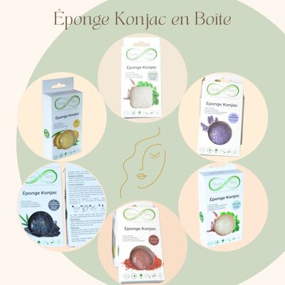 Spugna Konjac 100% naturale - Viso e occhi | Diversi modelli tra cui scegliere - in scatola
