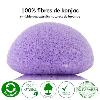 Eponge Konjac 100% Naturelle Visage - En Boite | Plusieurs Modèles au Choix 24