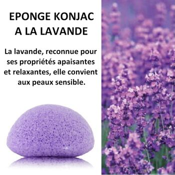 Eponge Konjac 100% Naturelle Visage - En Boite | Plusieurs Modèles au Choix 25