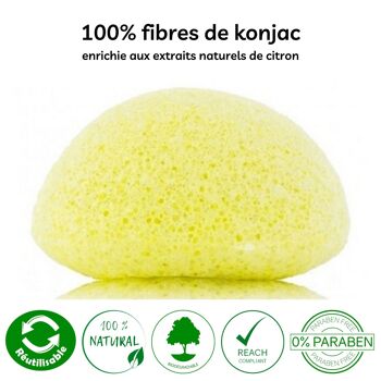 Eponge Konjac 100% Naturelle Visage - En Boite | Plusieurs Modèles au Choix 30