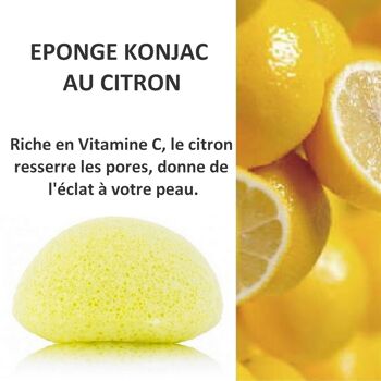 Eponge Konjac 100% Naturelle Visage - En Boite | Plusieurs Modèles au Choix 31