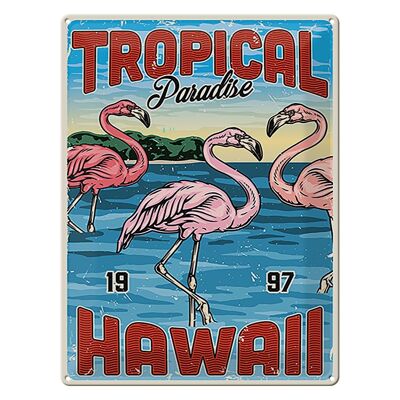 Targa in metallo retrò 30x40 cm Paradiso tropicale Hawaii