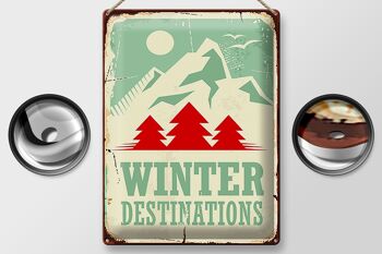 Panneau en étain rétro 30x40cm, ski, destinations d'hiver, aventure 2