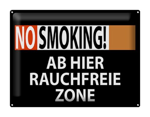 Blechschild Hinweis 40x30cm No Smoking Rauchfreie Zone