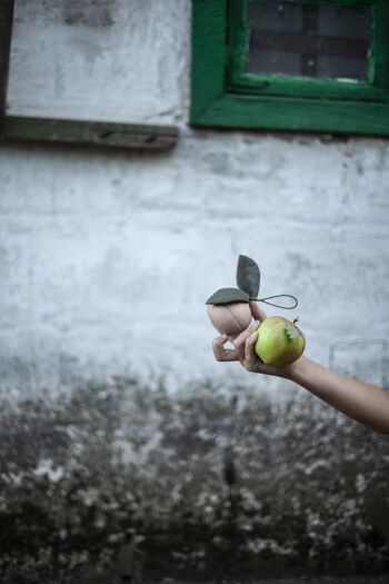 Pomme en bois sur les Magnets & petit ami 14