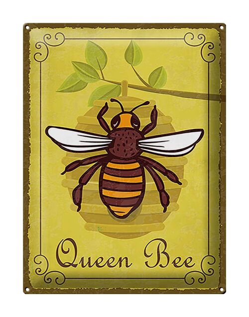 Blechschild Hinweis 30x40cm Queen Bee Biene Honig Imkerei