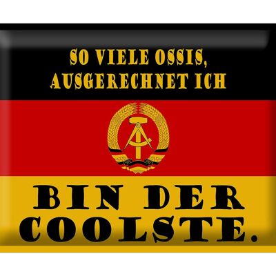 Blechschild Spruch 40x30cm so viele Ossis bin der coolste