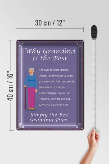 Plaque en étain 30x40 cm indiquant pourquoi grand-mère est la meilleure grand-mère 4