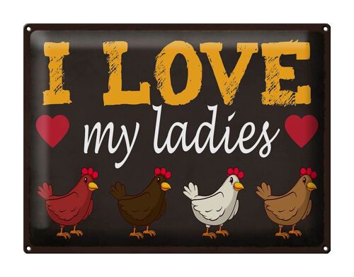 Blechschild Spruch 40x30cm Hühner i love my ladies