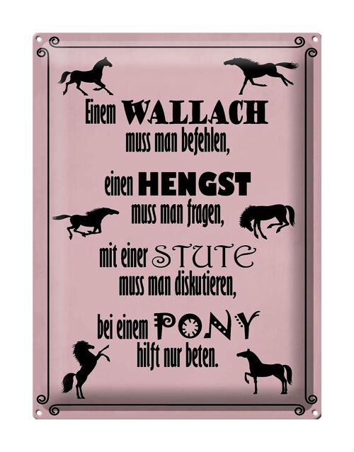 Blechschild Spruch 30x40cm Pferde Wallah Hengst Pony Stute