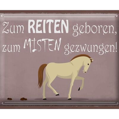 Blechschild Spruch 40x30cm zum Reiten geboren Pferd