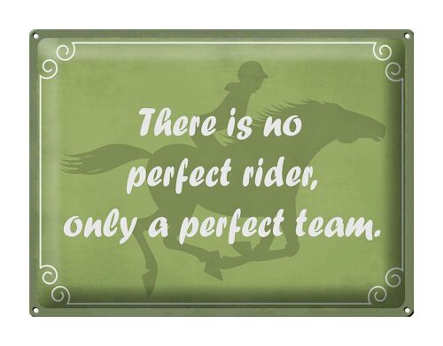 Blechschild Spruch 40x30cm there is no perfect rider only