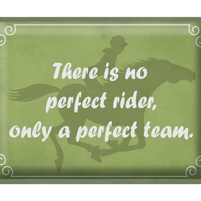 Blechschild Spruch 40x30cm there is no perfect rider only
