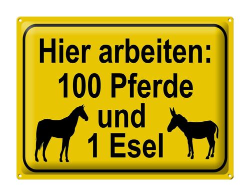 Blechschild Hinweis 40x30cm arbeiten 100 Pferde und 1 Esel