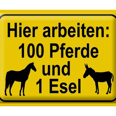 Blechschild Hinweis 40x30cm arbeiten 100 Pferde und 1 Esel