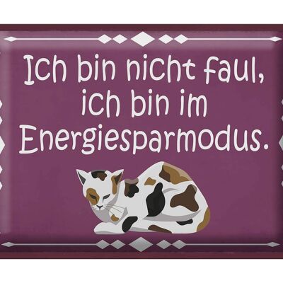 Blechschild Spruch 40x30cm Katze ich bin nicht faul bin im