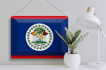 Signe en étain drapeau Belize 40x30cm drapeau du Belize 3