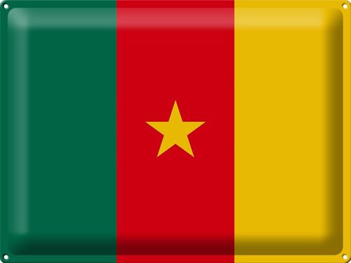 Blechschild Flagge Kamerun 40x30cm Flag of Cameroon