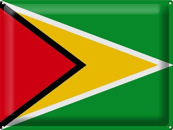 Signe en étain drapeau Guyane 40x30cm drapeau de la Guyane 1