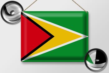 Signe en étain drapeau Guyane 40x30cm drapeau de la Guyane 2